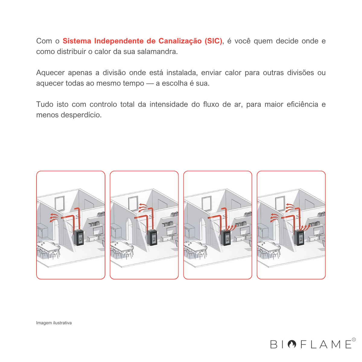 SALAMANDRA A PELLETS - BIOBRONPI ADRY